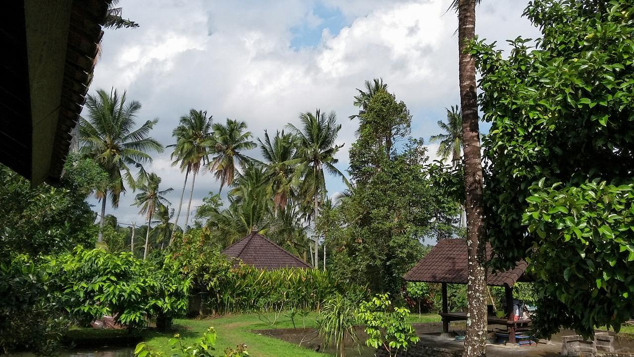 Natural Lodge 2 Selemadeg  Ngoại thất bức ảnh