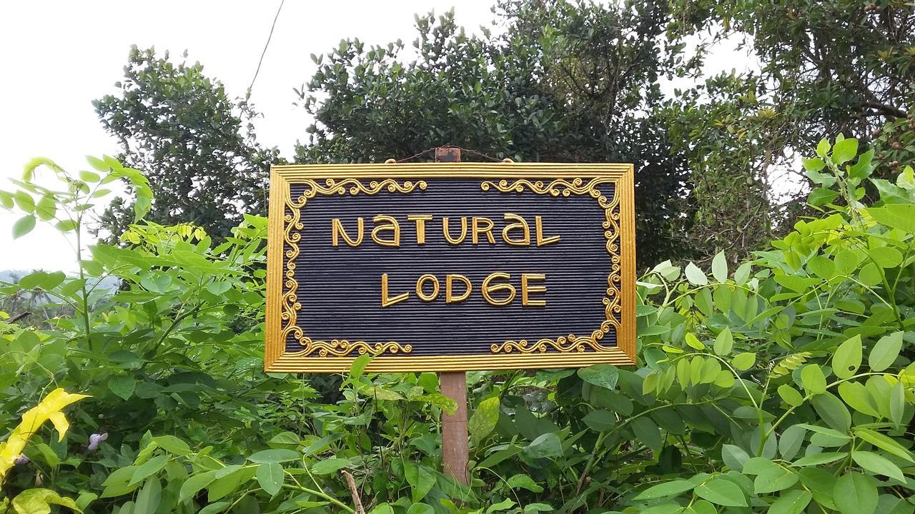 Natural Lodge 2 Selemadeg  Ngoại thất bức ảnh